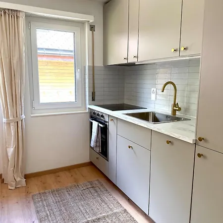 Gorgeous Modern Mountain View Flat In With Free Parking Apartman Täsch