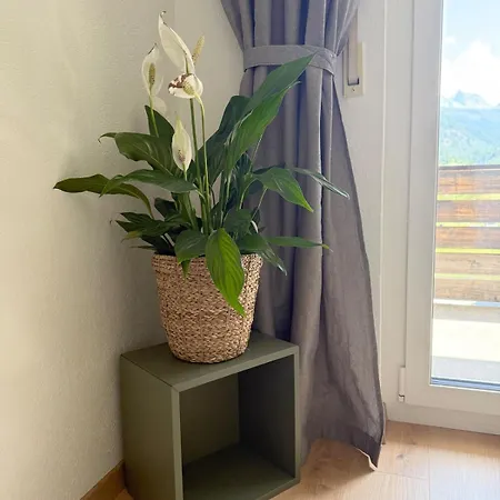 Lejlighed Gorgeous Modern Mountain View Flat In *