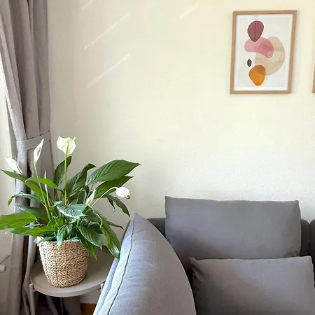 Gorgeous Modern Mountain View Flat In With Free Parking Appartement *