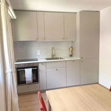 Gorgeous Modern Mountain View Flat In With Free Parking Apartment Tasch