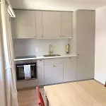 Gorgeous Modern Mountain View Flat In With Free Parking 公寓 塔什