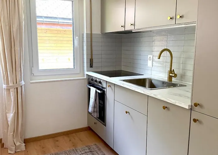 Gorgeous Modern Mountain View Flat In With Free Parking アパート テッシュ